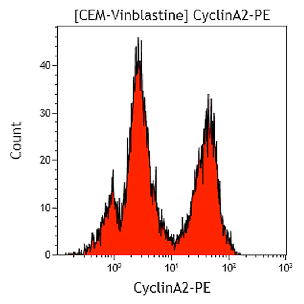 B15092_Cyclin A2-PE, 11B2G3, 1 mL, ASR
